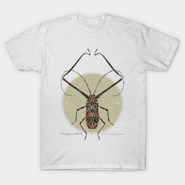 Harlequin Beetle T-Shirt by 40degreesSouth